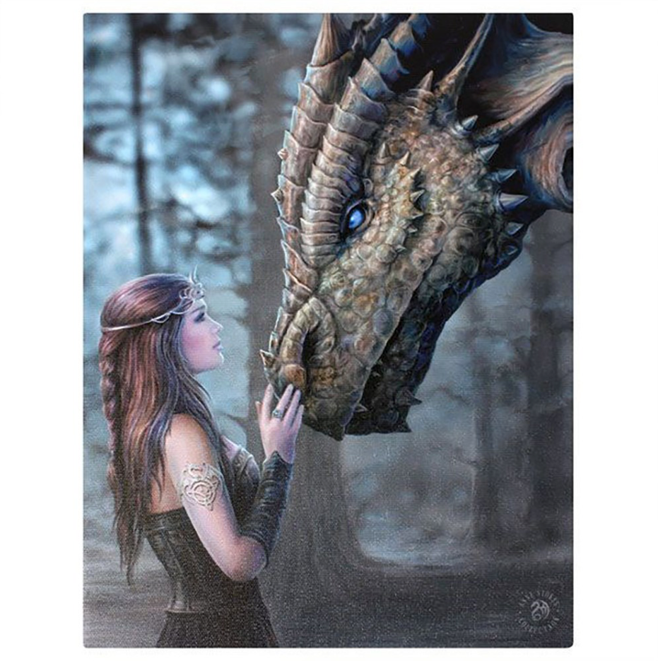 Once Upon A Time Dragon and mystical girl Canvas Picture