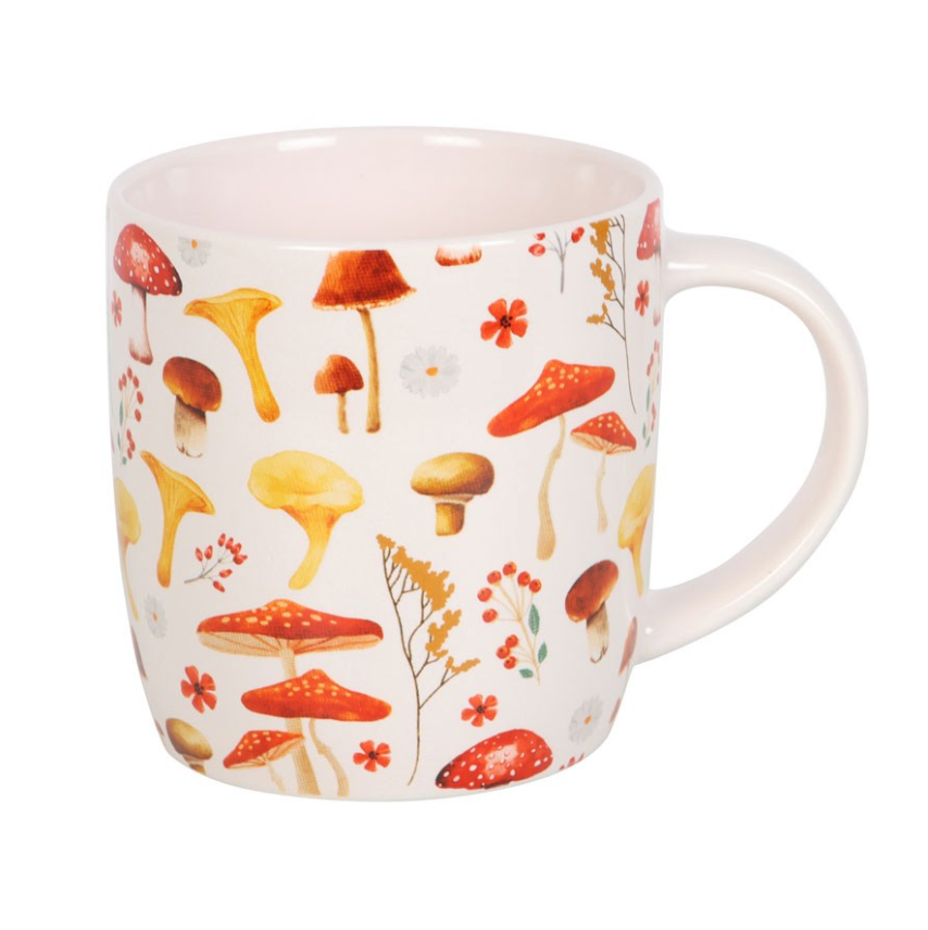 Mushroom Toadstool Mug red brown and yellow fungi