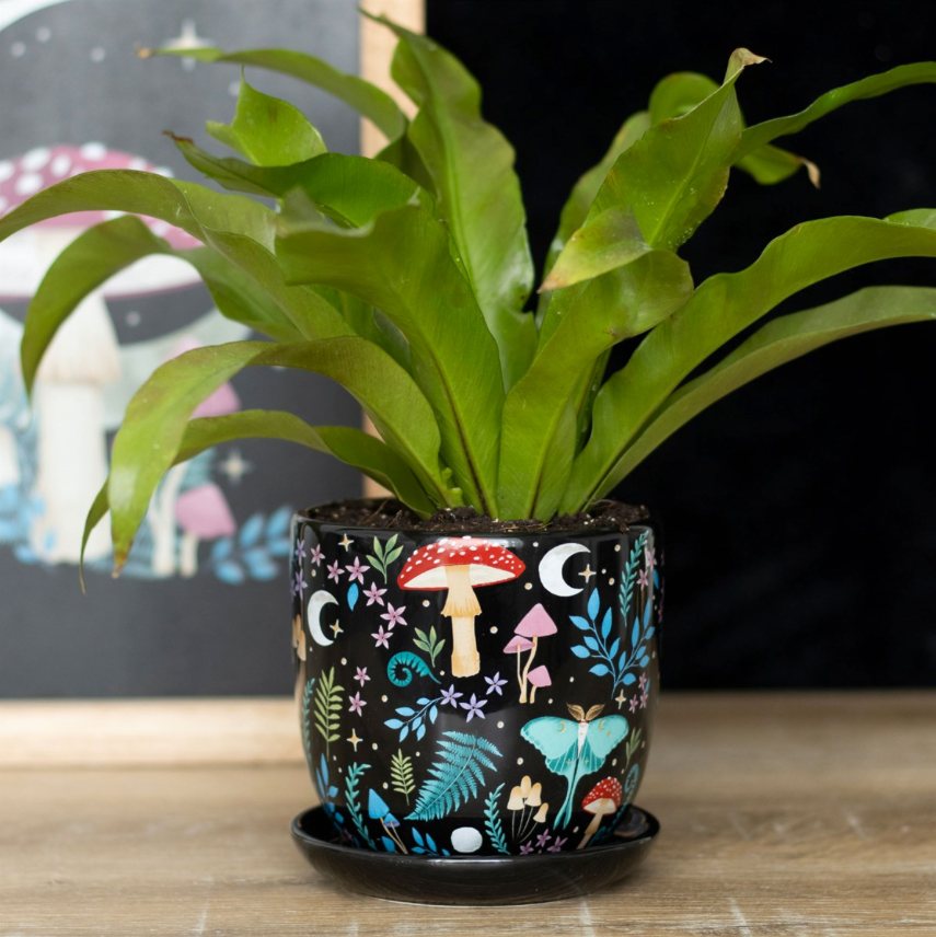 Dark Forest Print Ceramic Plant Pot with Saucer with plant