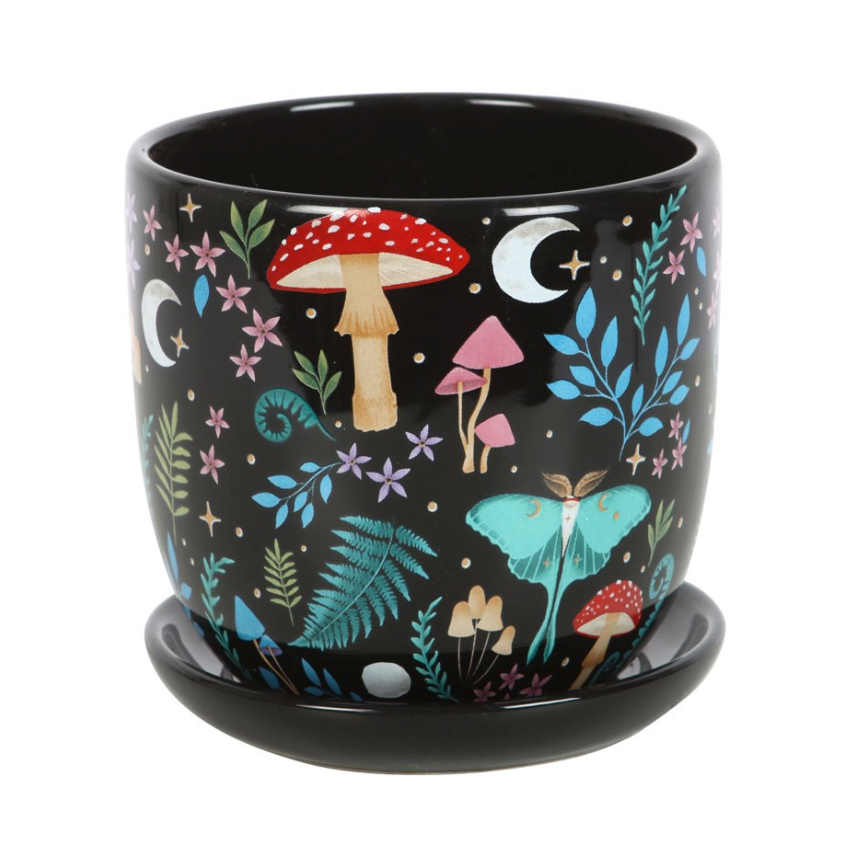 Dark Forest Print Ceramic Plant Pot with Saucer mushrooms, luna moth, stars and fauna on black pot