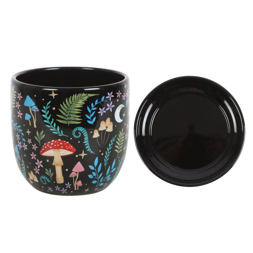 Dark Forest Print Ceramic Plant Pot with Saucer mushrooms, luna moth, stars and fauna on black pot with saucer