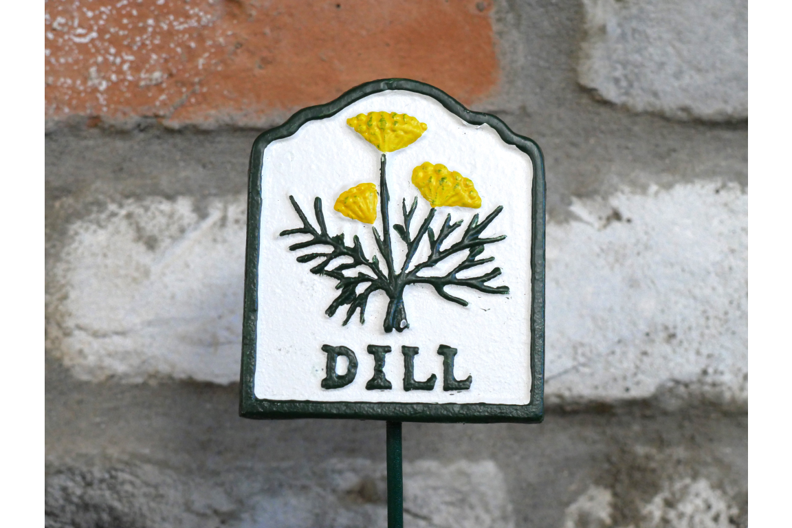 Vegetable garden metal sign - dill