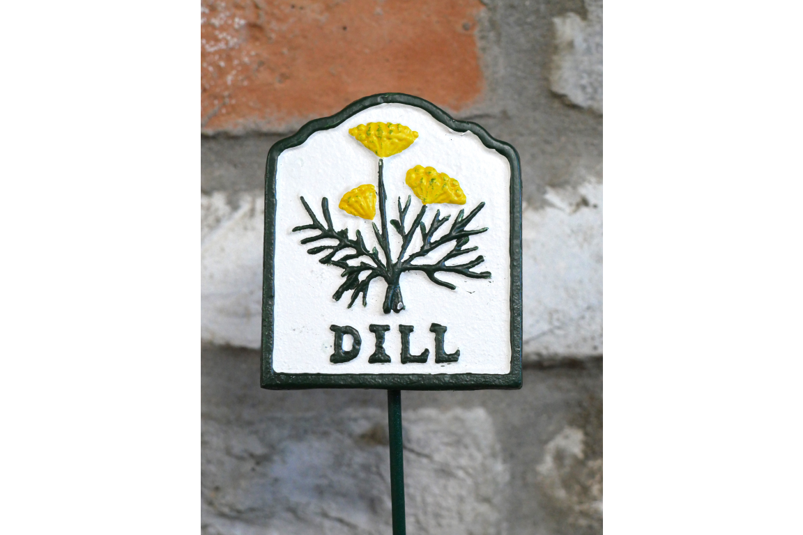 Vegetable garden hand painted metal sign - dill