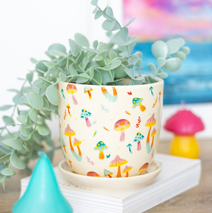 Funky Fungi Mushroom Print Plant Pot with Saucer with plant