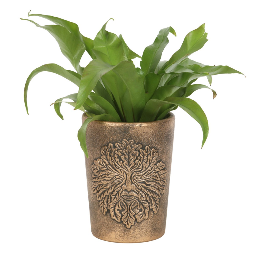 Green Man Bronze Terracotta Plant Pot with plant