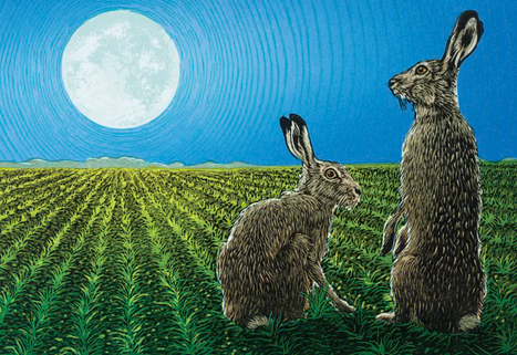 Hare and nature greeting card two hares in a green field at night with the moon shining