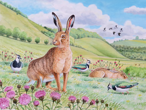 Hare wildlife, nature, greeting card by David Thelwell with hills green meadows, hares and birds.
