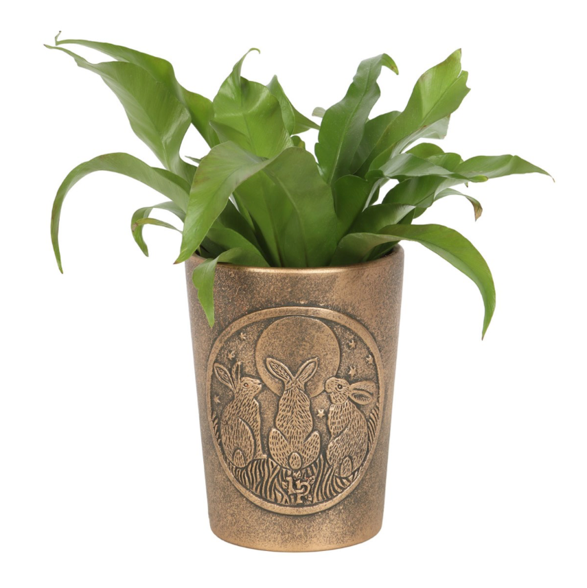 Terracotta Bronze Plant Pot moon gazing hare's with plant in