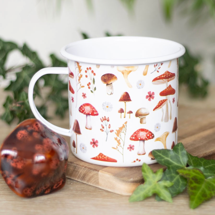 Mushroom Toadstool Enamel Mug display