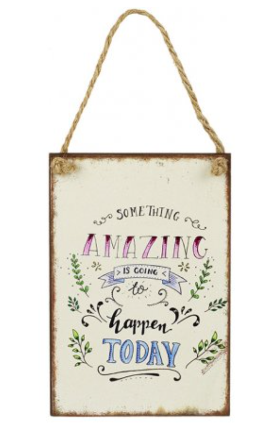 Amazing Day Metal Sign front