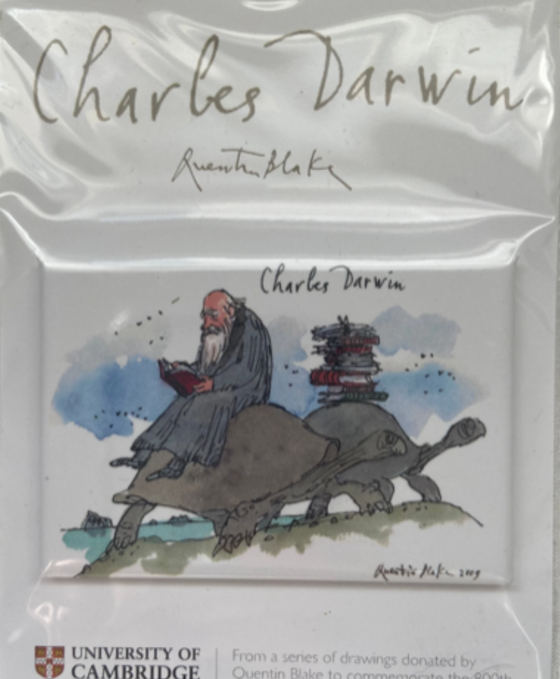 Charles Darwin Fridge Magnet - Quentin Blake Design - University of Cambridge