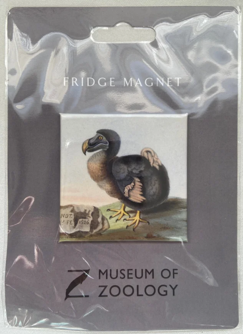 Dodo Fridge Magnet - Museum of Zoology - University of Cambridge