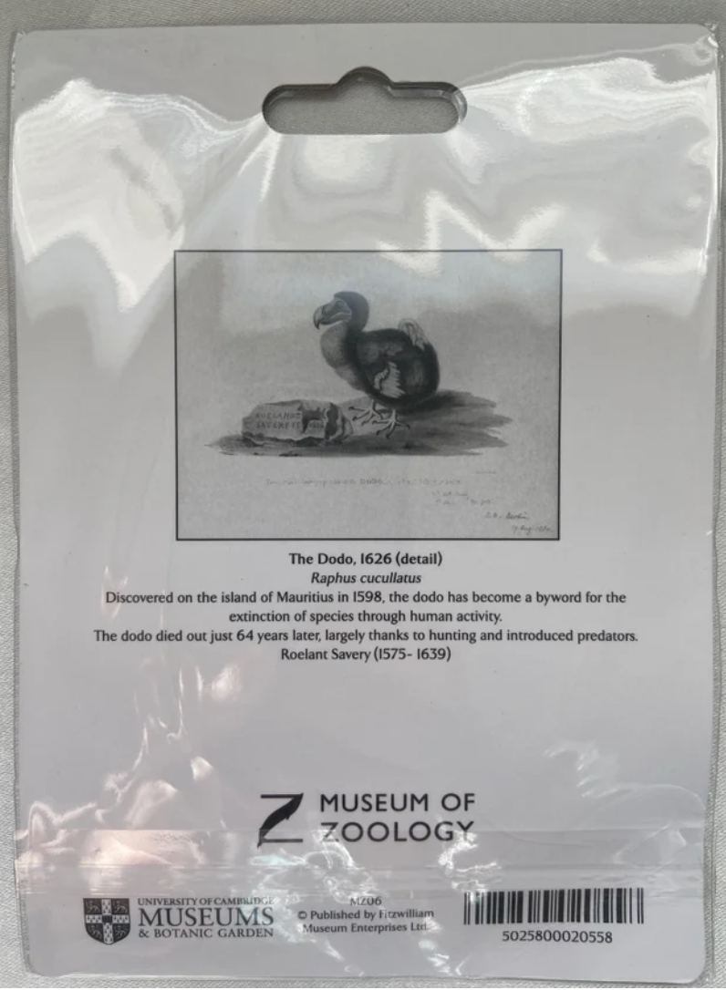 Dodo Fridge Magnet - Museum of Zoology - University of Cambridge back
