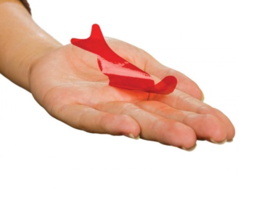 Fortune Teller Fish on hand