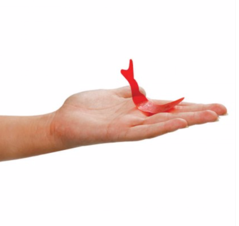 Fortune Teller Fish