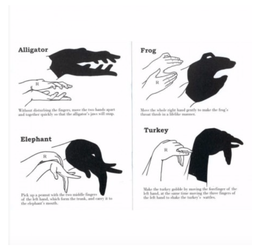 Hand Shadows Book page