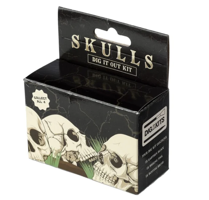 Human Skull Dig-A-Saurs Dig it Out Kit