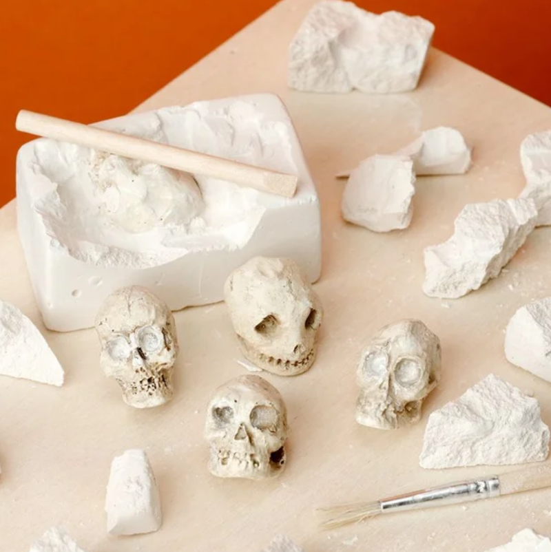 Human Skull Dig-A-Saurs Dig it Out Kit
