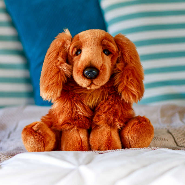 Cocker Spaniel Toy Dog