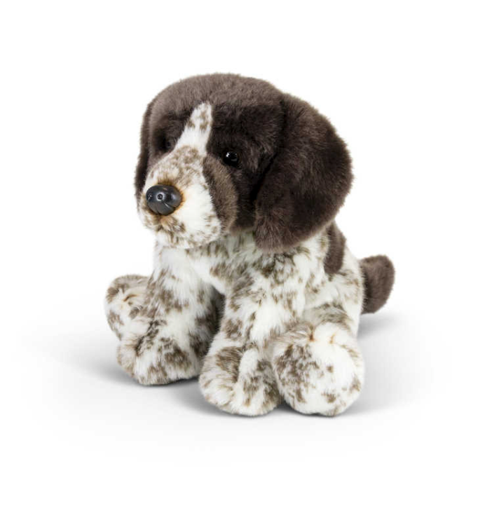 Pointer Puppy