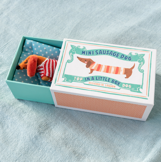 Mini sausage dog in a little box display