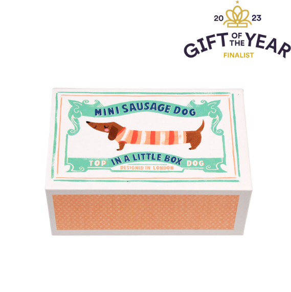 Mini sausage dog in a little box outside box