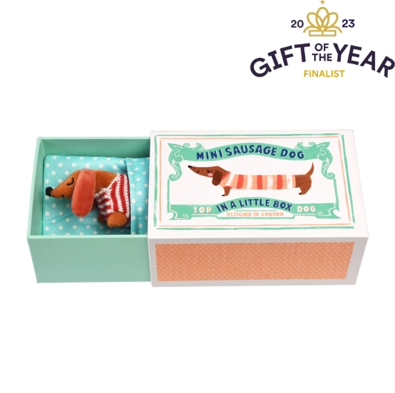 Mini sausage dog in a little box open