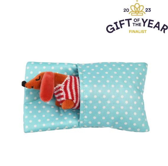 Mini sausage dog in a little box in cushion