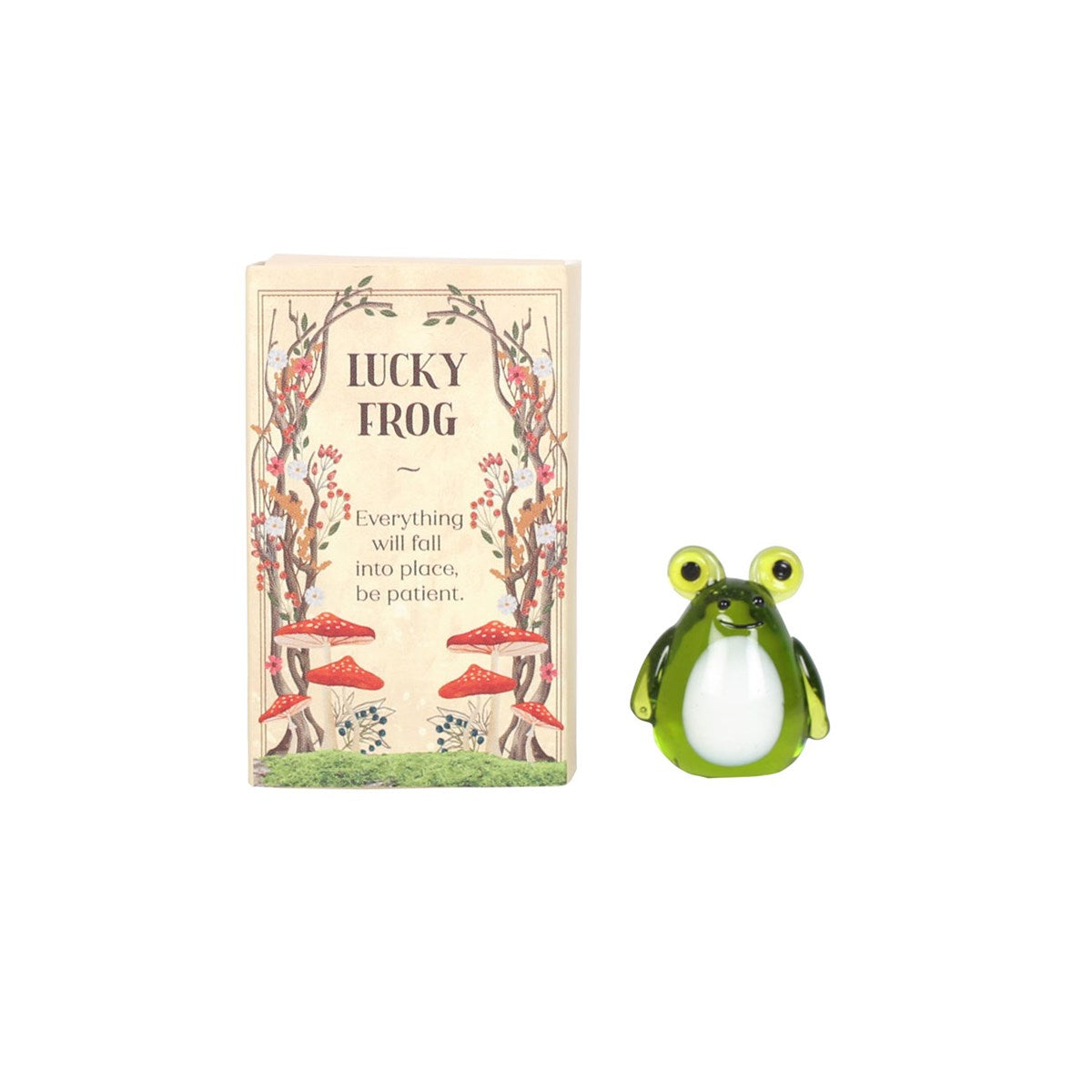 Glass frog in a matchbox