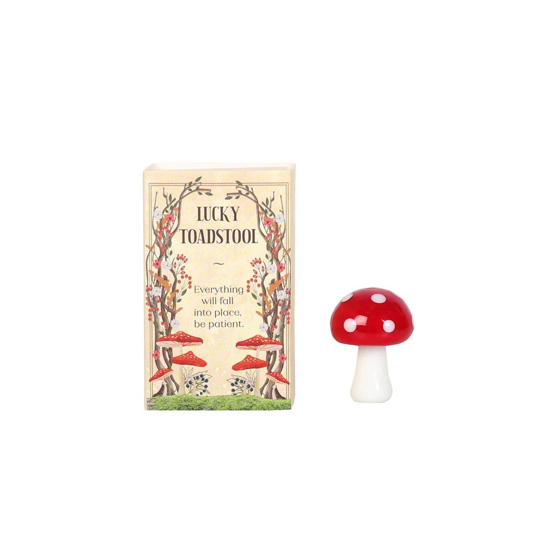 Glass mushroom in a matchbox