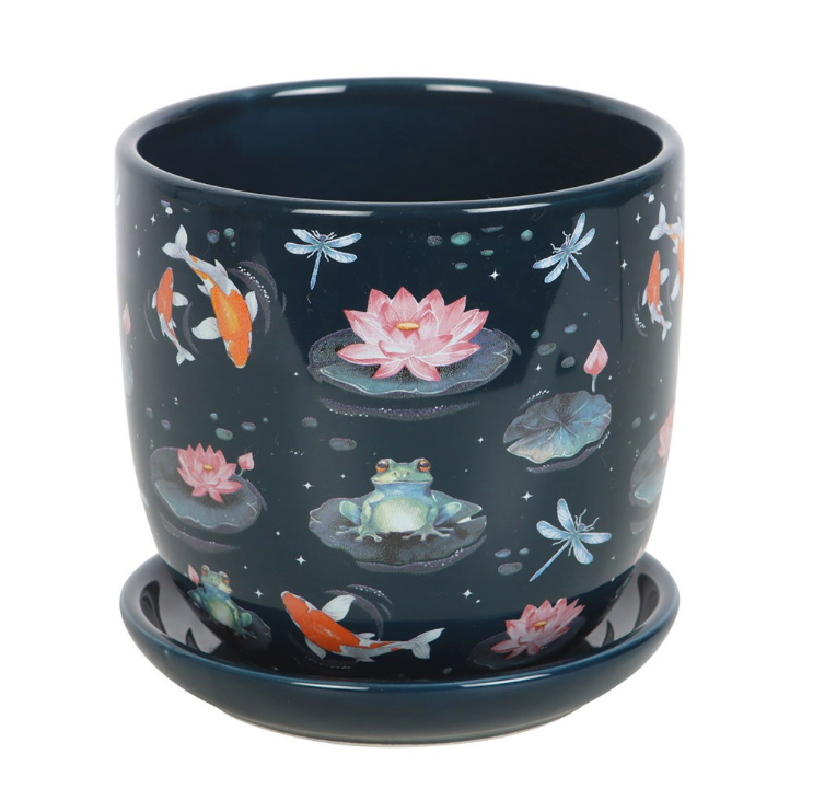 pond plant pot lilly pad and frog