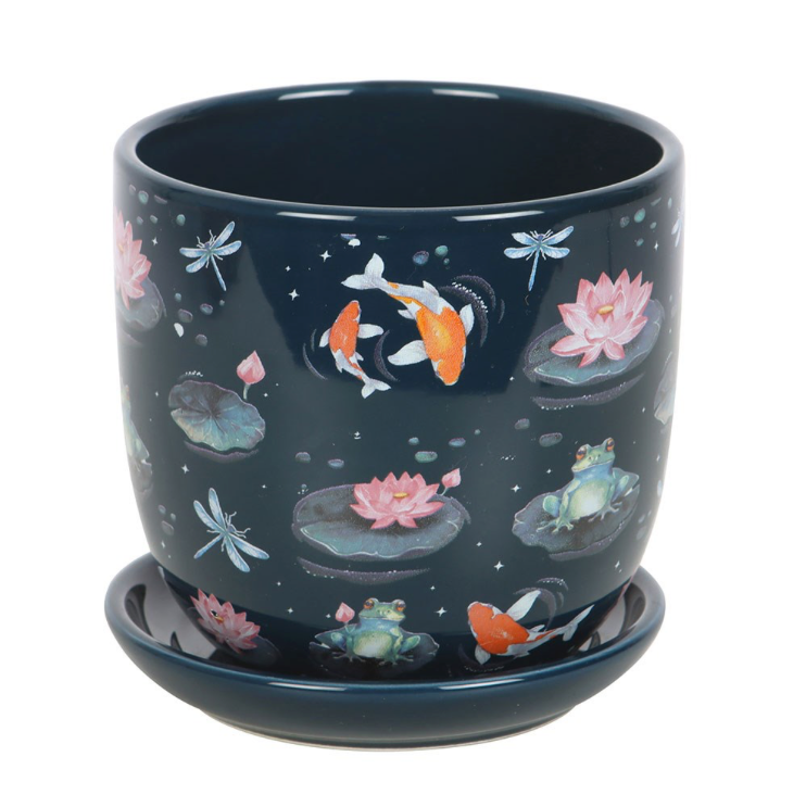 pond plant pot koi fish and dragonlies