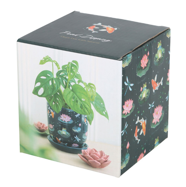 pond plant pot in box