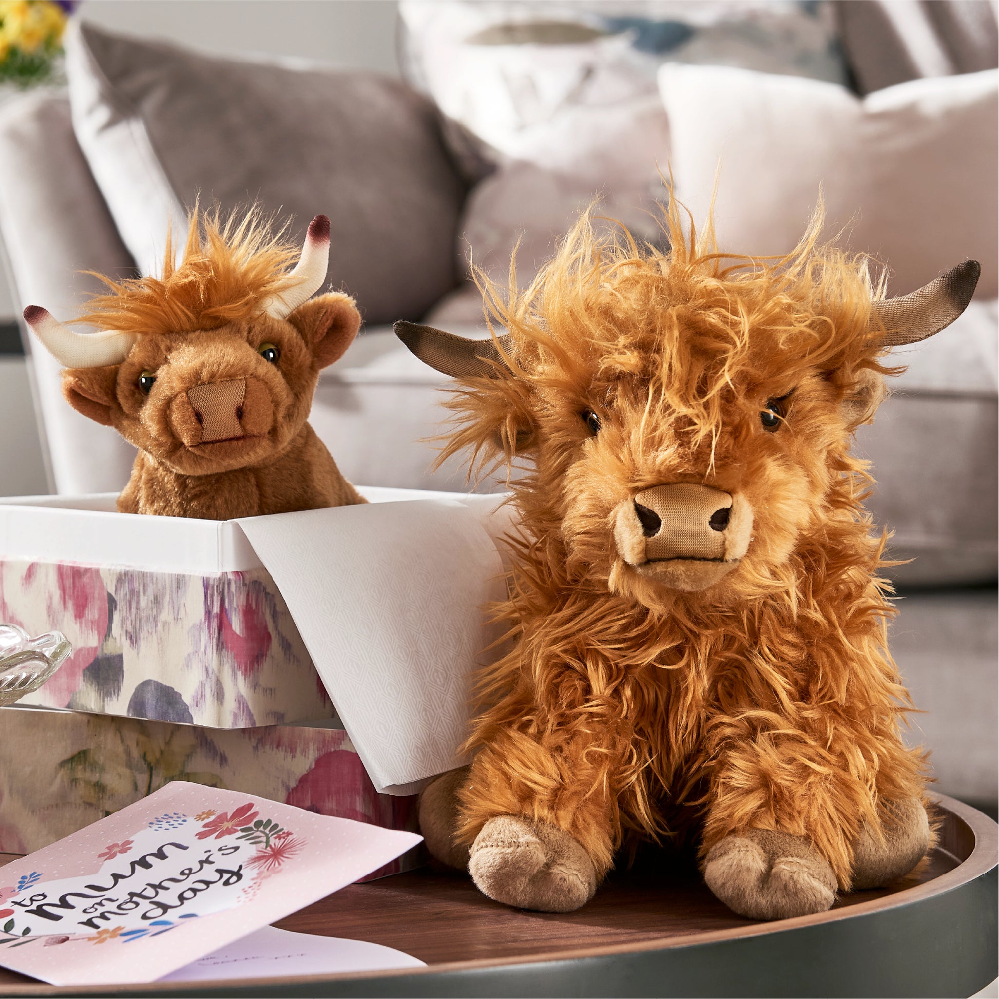 Two fluffy Highland cow plush toys on a table with a card in the background.