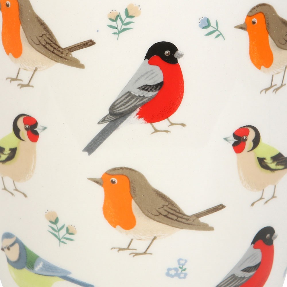 British Garden Birds Ceramic Plant Pot robin