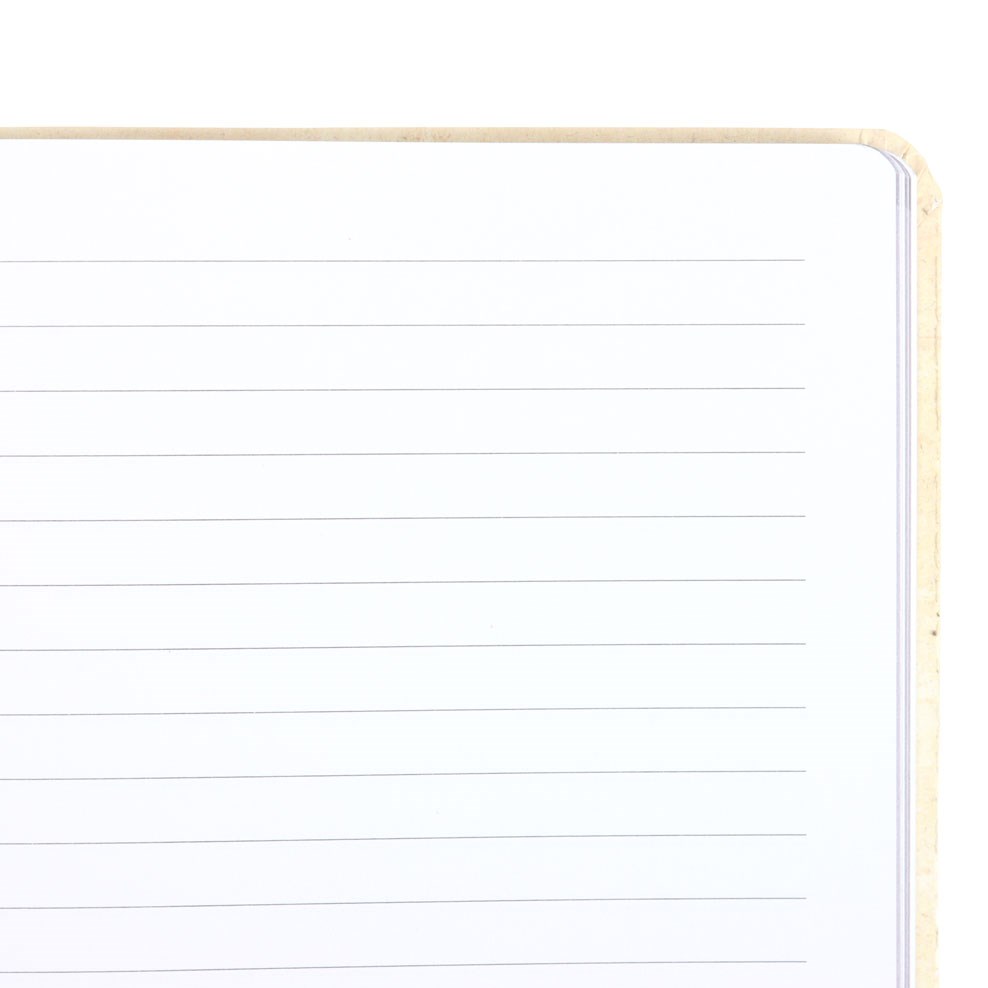 Mushroom covered notebook inside