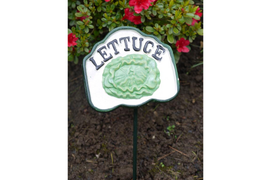 Traditional Metal Garden Sign Lettuce with hand painted lettuce on white background and black lettering