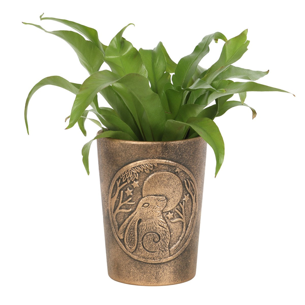 Potted plant in a decorative brown pot with a hare design on a white background