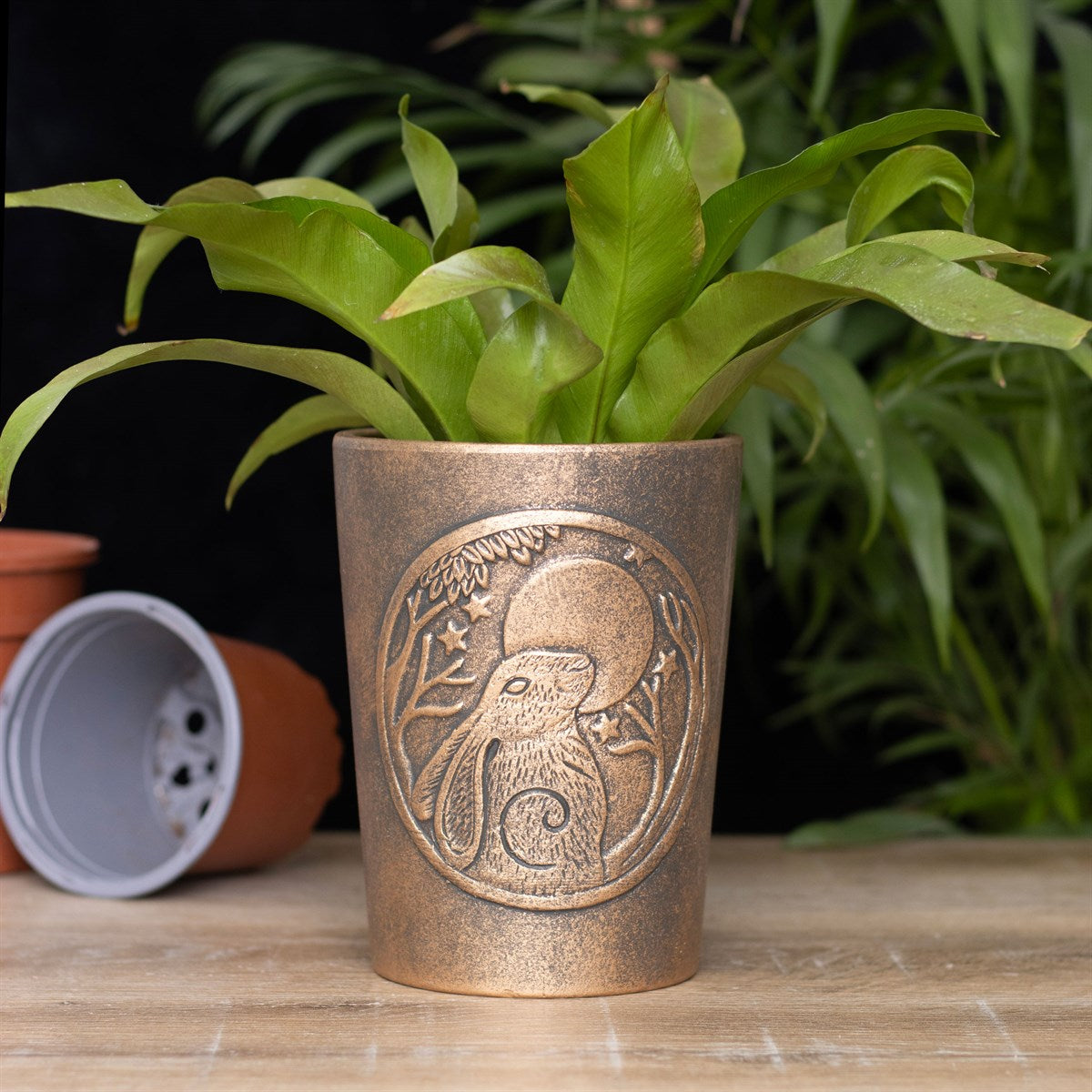 Terracotta Bronze Plant Pot features Moon Gazing Hare artwork