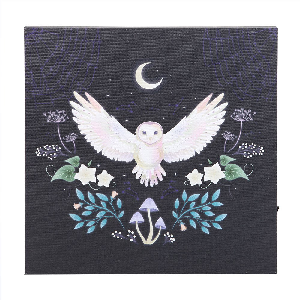 Canvas with a white owl, moon, and nature elements on a dark background