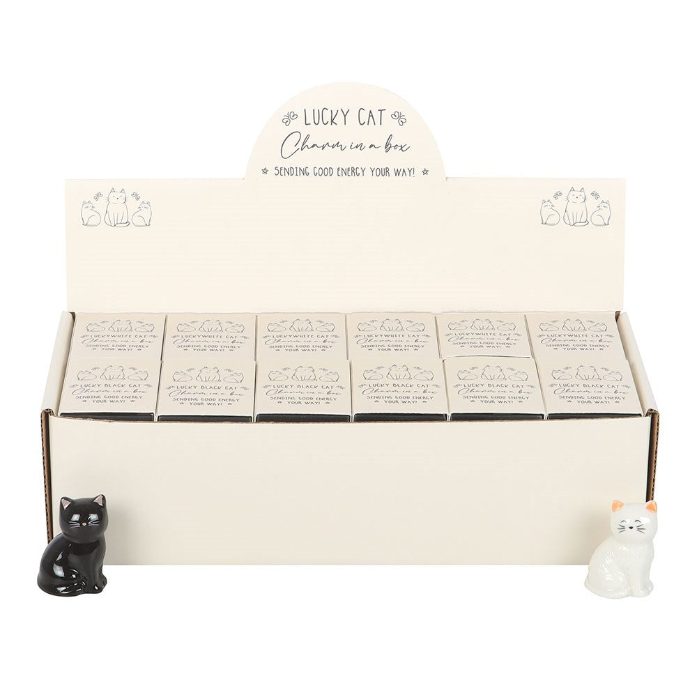 Box of Lucky Cat charms with two cat figurines on a white background