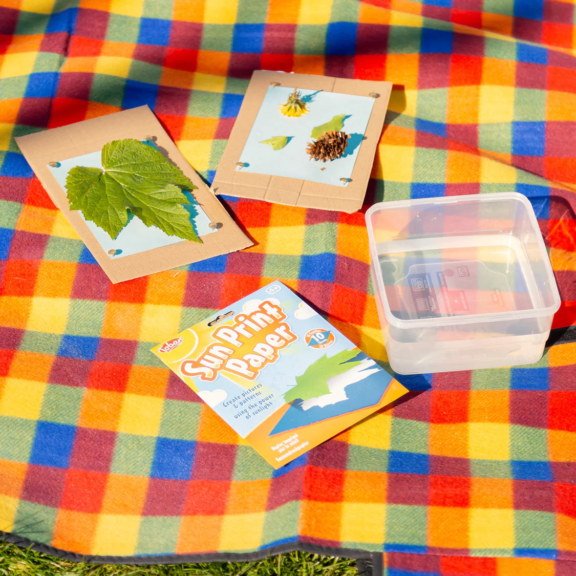 Sun print paper set with leaves and pinecones on a colorful checkered blanket