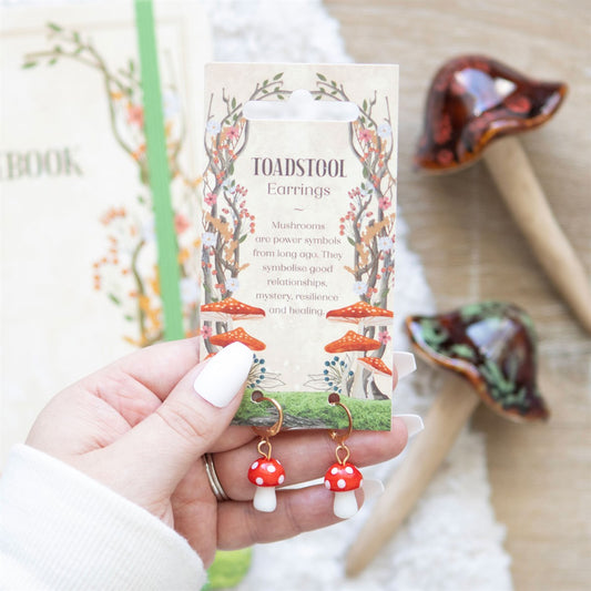 Toadstool earrings held in front of their packaging with a blurred background