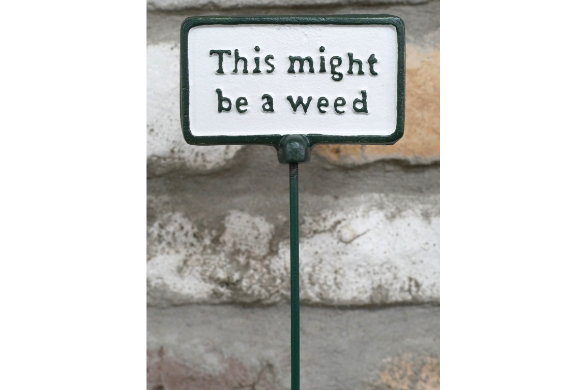 Sign on a stand with text 'This might be a weed' against a stone wall background