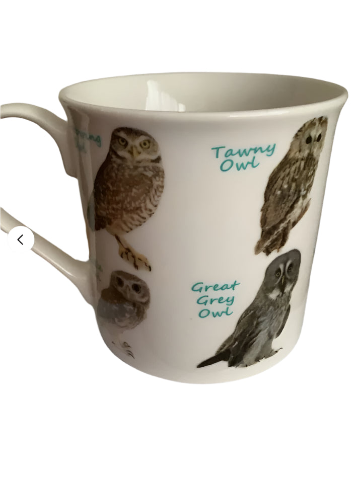 Tawny Owl Mug